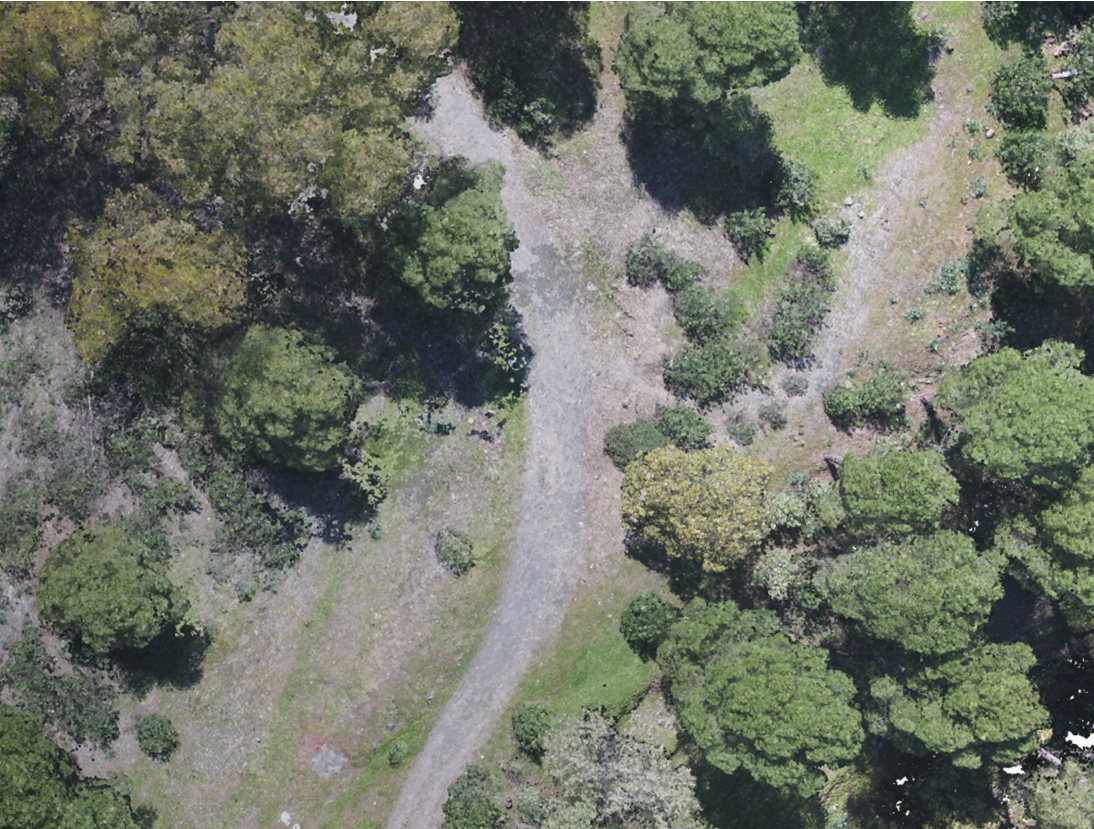 Comparison of GPU-based Methods for Handling Point Cloud Occlusion 