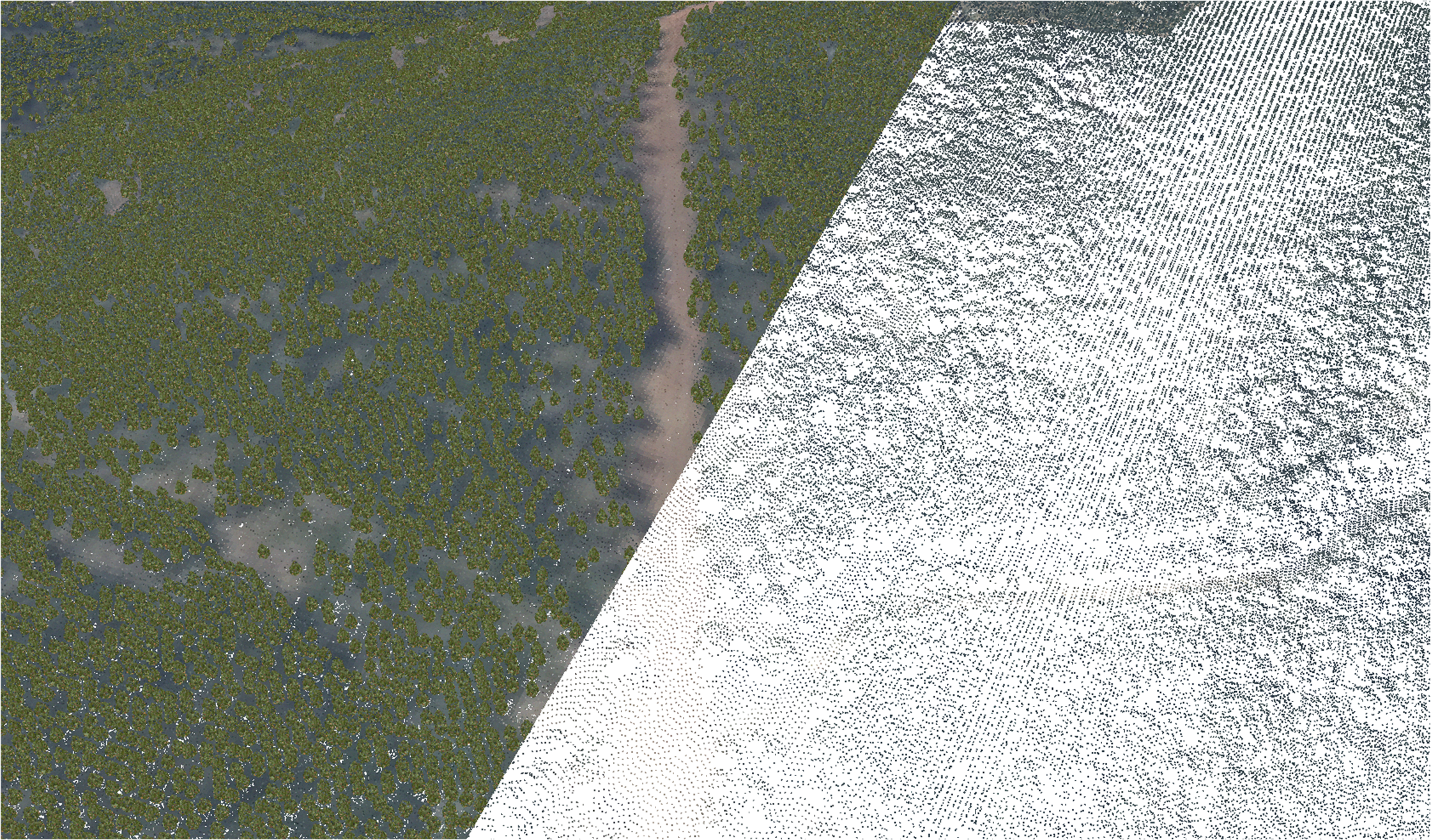 Guided Modeling of Natural Scenarios: Vegetation and Terrain 