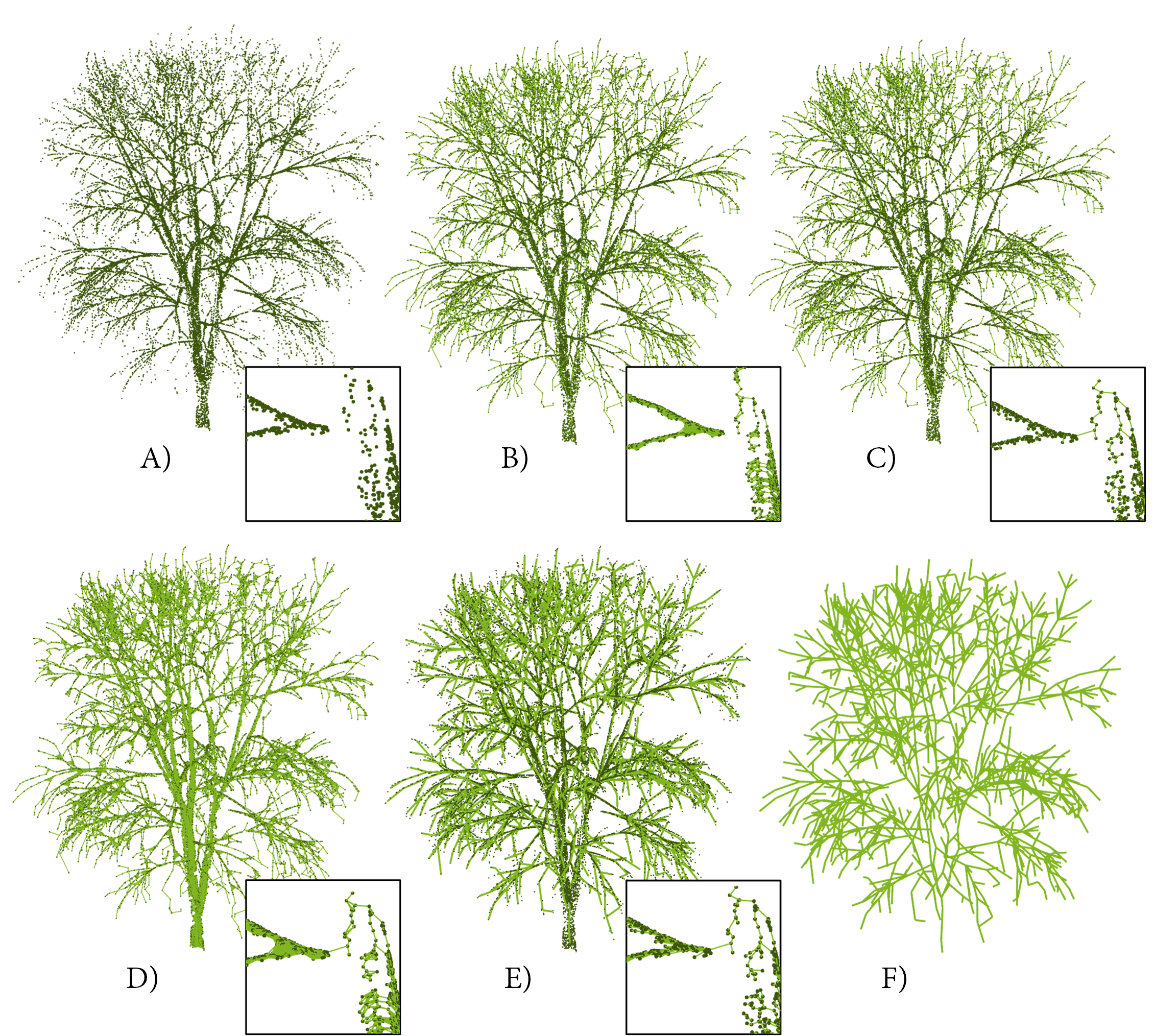 Reconstruction of tree branching structures from UAV-LiDAR data 
